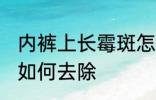 内裤上长霉斑怎么去除 内裤上长霉斑如何去除