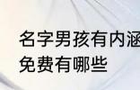 名字男孩有内涵免费 名字男孩有内涵免费有哪些