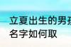 立夏出生的男孩名字 立夏出生的男孩名字如何取