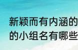 新颖而有内涵的小组名 新颖而有内涵的小组名有哪些