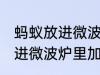 蚂蚁放进微波炉里加热会死吗 蚂蚁放进微波炉里加热会不会死