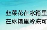 韭菜花在冰箱里冷冻能放多久 韭菜花在冰箱里冷冻可以放多长时间