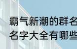 霸气新潮的群名字大全 霸气新潮的群名字大全有哪些