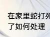 在家里蛇打死了怎么办 在家里蛇打死了如何处理