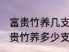 富贵竹养几支最旺运办公室 办公室富贵竹养多少支最旺运