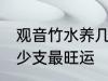 观音竹水养几支最旺运 观音竹水养多少支最旺运