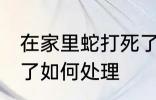 在家里蛇打死了怎么办 在家里蛇打死了如何处理