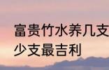 富贵竹水养几支最旺运 富贵竹水养多少支最吉利