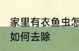 家里有衣鱼虫怎么去除 家里有衣鱼虫如何去除