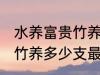 水养富贵竹养几支最旺运财 水养富贵竹养多少支最旺运财