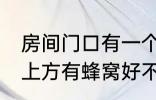 房间门口有一个蜂窝是什么兆头 门口上方有蜂窝好不好