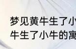 梦见黄牛生了小牛有什么兆头 梦见黄牛生了小牛的寓意是啥