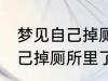 梦见自己掉厕所里了怎么回事 梦见自己掉厕所里了预兆什么