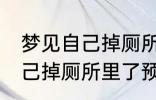 梦见自己掉厕所里了怎么回事 梦见自己掉厕所里了预兆什么