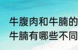 牛腹肉和牛腩的区别是什么 牛腹肉和牛腩有哪些不同