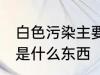 白色污染主要指的是什么 白色污染的是什么东西