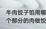 牛肉饺子馅用哪个部位的牛肉 牛的那个部分的肉做饺子馅比较好吃