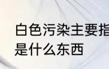 白色污染主要指的是什么 白色污染的是什么东西