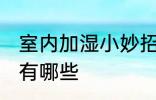 室内加湿小妙招有哪些 室内加湿方法有哪些