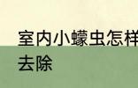 室内小蠓虫怎样去除 室内小蠓虫如何去除