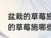 盆栽的草莓施什么肥好不要化肥 盆栽的草莓施哪些肥好不要化肥