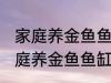 家庭养金鱼鱼缸里放什么水草好呢 家庭养金鱼鱼缸里放哪种水草好呢