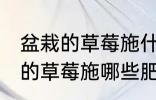 盆栽的草莓施什么肥好不要化肥 盆栽的草莓施哪些肥好不要化肥