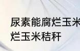 尿素能腐烂玉米秸秆吗 尿素能不能腐烂玉米秸秆