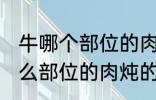 牛哪个部位的肉炖的牛肉汤好喝 牛什么部位的肉炖的牛肉汤好喝