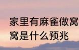 家里有麻雀做窝好不好 家里有麻雀做窝是什么预兆