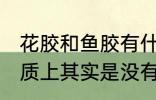 花胶和鱼胶有什么区别 鱼胶和花胶本质上其实是没有区别的对吗