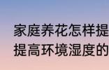 家庭养花怎样提高环境湿度 家庭养花提高环境湿度的技巧